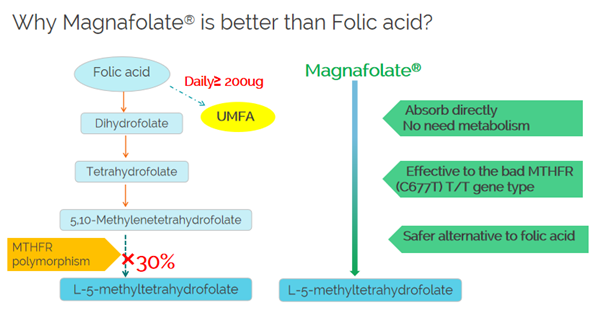 Varför är Magnafolate bättre än folsyra?