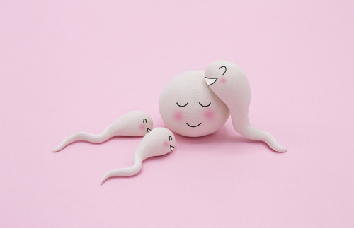 Folsyra kan förbättra fertiliteten - Magnafolat