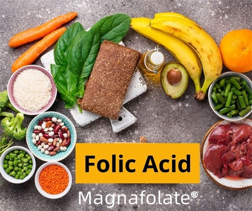 Folat (Folsyra)—Introduktion och funktion