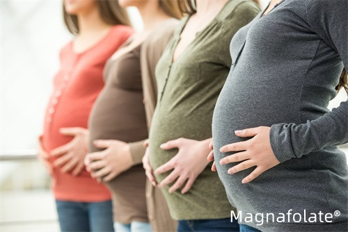 Det aktiva folatet för fertilitet