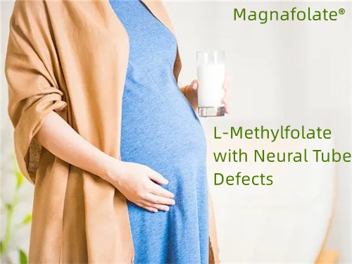 Folat, L-metylfolat med neuralrörsdefekter
