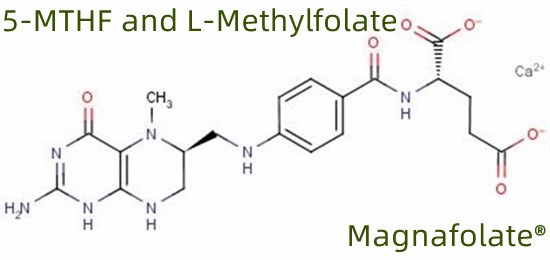 5-MTHF och L-metylfolat