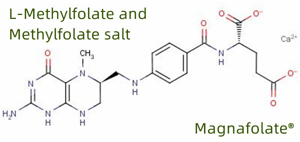 Global tillverkare och leverantör av L Methylfolate
