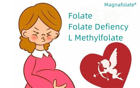 Folat och folatbrist