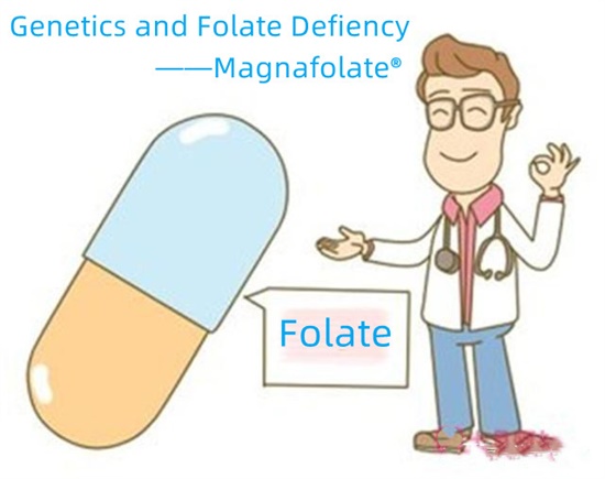 Genetik och folatbrist-magnafolat