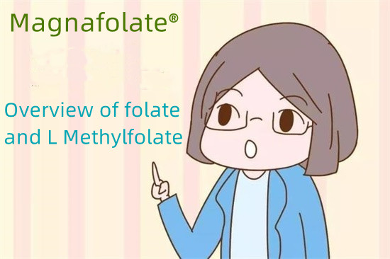 Översikt över folat och L Metylfolat