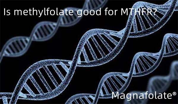 Är metylfolat bra för MTHFR?