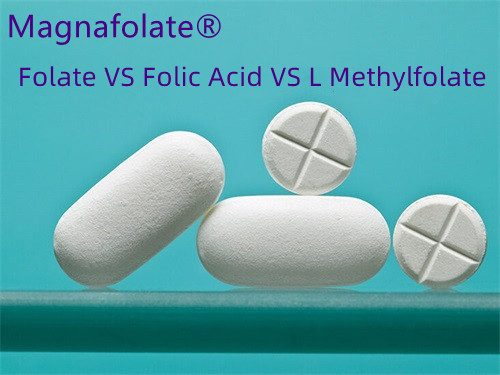 Folsyra vs folat: Vilket är bättre?