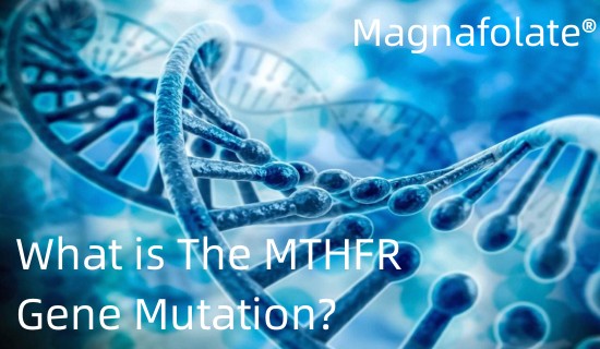 Vad är MTHFR-genmutationen?