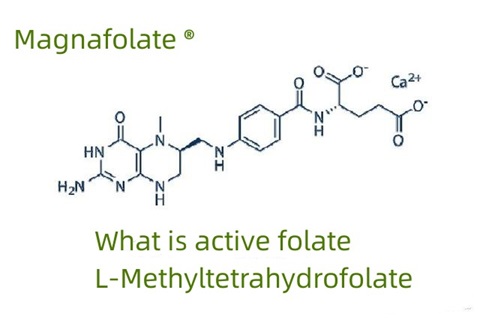 Vad är aktivt folat och L-metyltetrahydrofolat