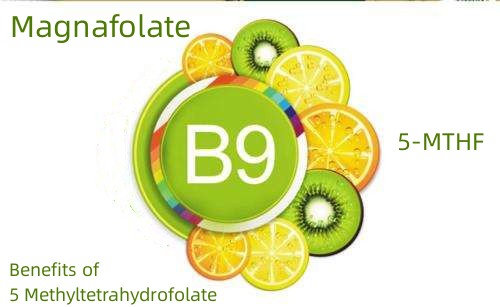 Fördelar med 5 Methyltetrahydrofolate