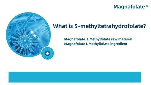 Vad är 5-metyltetrahydrofolat?