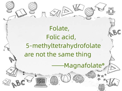 Folat, folsyra och 5-metyltetrahydrofolat är inte samma sak