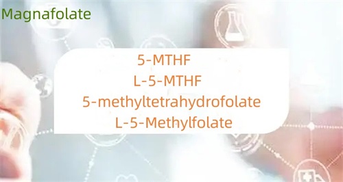 Vad är skillnaden mellan 5-metyltetrahydrofolat och folat