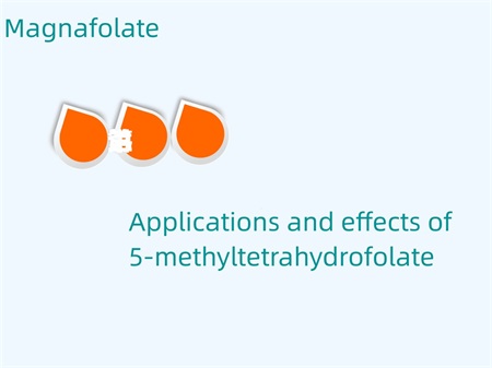 Tillämpningar och effekter av 5-metyltetrahydrofolat