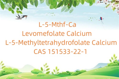 L-5-metyltetrahydrofolat Kalcium_Levomefolat Kalcium_L-5-Mthf-Ca