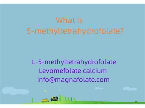 Vad är 5-metyltetrahydrofolat?