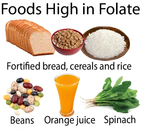 Klassificering av folat - Dietary Folate