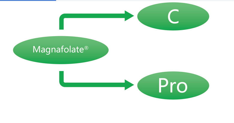 Magnafolat C och Pro—L-Methylfolate Calcium