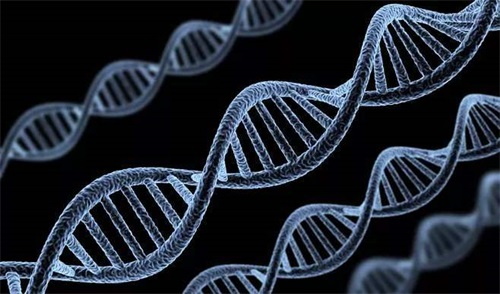 Onormala folatmetaboliserande enzymgenotyper är den främsta orsaken till störningar i folatmetabolism