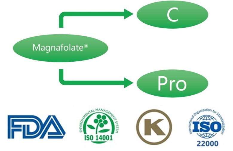 Vad är kalcium L-5-metyltetrahydrofolat? Vilka är leverantörerna?