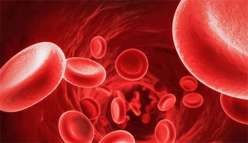 Folat metabolism störning, vad ska vi göra