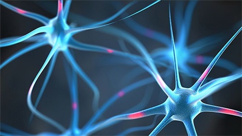 Varför folatbrist kan leda till neurologiska problem