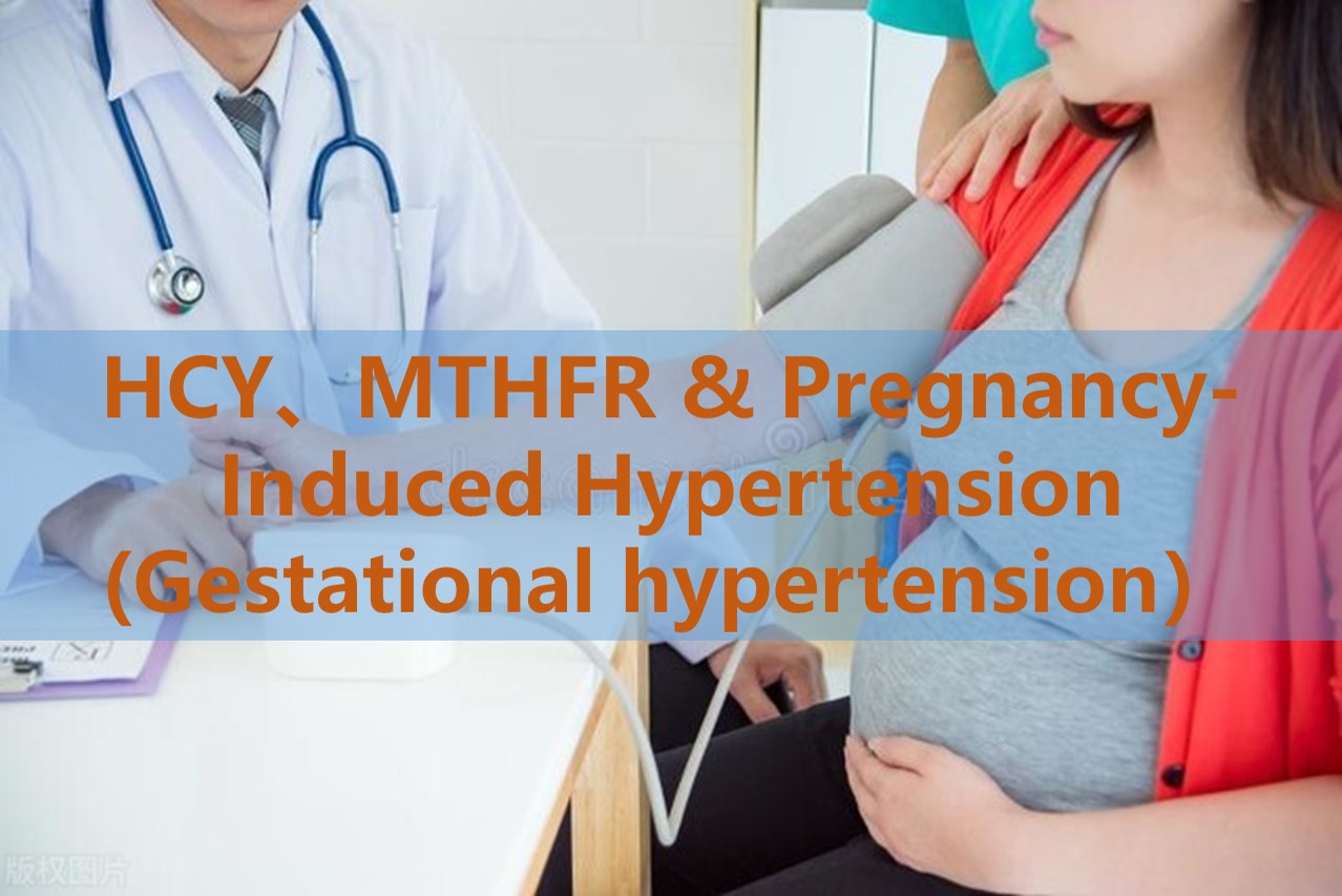 Folattillskott och graviditetsinducerad hypertoni (graviditetshypertoni): rollen för homocysteinnivåer och MTHFR-genetiska polymorfismer